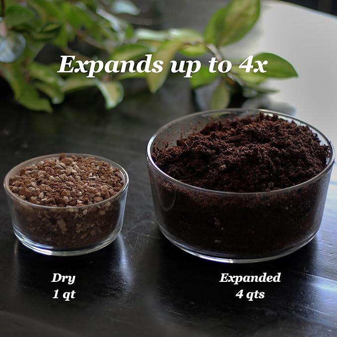 Daniel’s Plants Indoor Potting Soil – Enriched with Kelp, Worm Castings & Microorganisms for Healthy Growth, Aeration & Moisture Control (10-Quart)