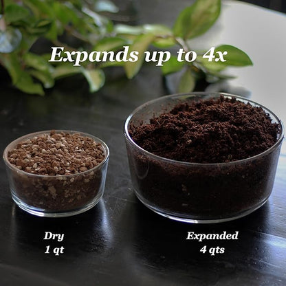 Daniel’s Plants Indoor Potting Soil – Enriched with Kelp, Worm Castings & Microorganisms for Healthy Growth, Aeration & Moisture Control (10-Quart)