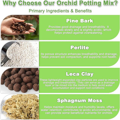Orchid Bark Potting Mix 3QT - Orchid Soil Mix with Pine Bark, Perlite, Sphagnum Moss & Leca Clay, Fast-Draining Mix for Repotting Phalaenopsis & All Epiphytic Orchids, Indoor Orchid Mulch
