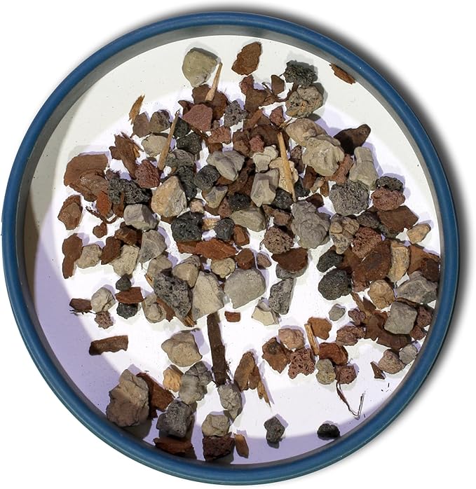 Bonsai Jack 2 Quarts Universal Organic Bonsai Soil Mix #221