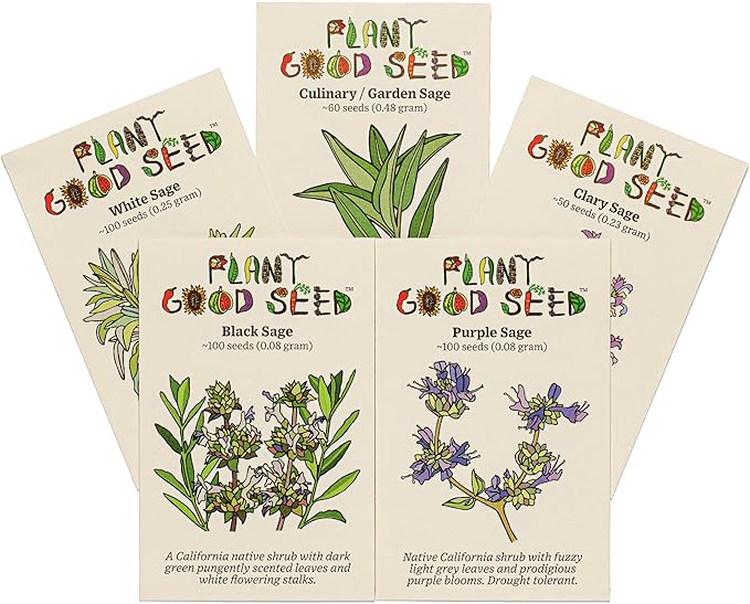 Plant Good Seed Organic Sage Seed Collection - 5 Packets - Black, Clary, Garden, Purple, White Heirloom Seeds for Planting Herbs - Gardening Supplies, Herb Garden, Flower Seeds to Plant Outside