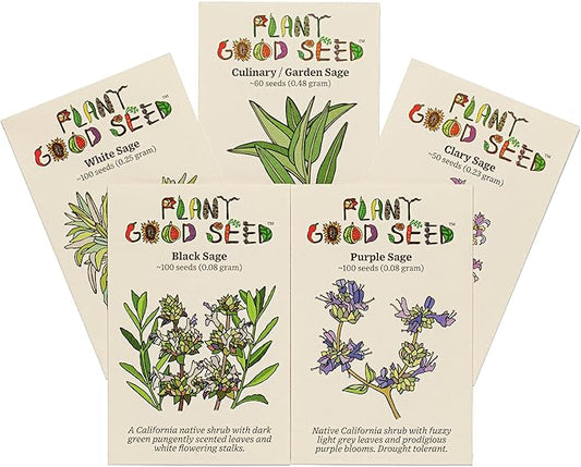 Plant Good Seed Organic Sage Seed Collection - 5 Packets - Black, Clary, Garden, Purple, White Heirloom Seeds for Planting Herbs - Gardening Supplies, Herb Garden, Flower Seeds to Plant Outside