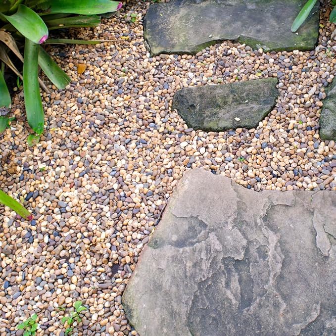 2lbs Natural River Rocks, 1/4" Aquarium Gravel Succulent Cactus Pea Gravel for Plants, Fish Tank, Decorative Pebbles for Gardening, Flower Pots, Vase Fillers, Indoor Water Fountains, Landscaping
