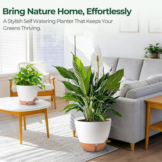 T4U 3 Pack Self Watering Pots (8"+10"+12") - Water Level Indicator & Deep Reservoir, Mess-Free Planters for Busy People, Beginners & Gardeners, Fits Pothos to Monstera, Indoor Outdoor Use (White)