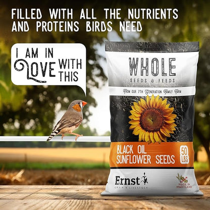 Ernst Grain & Livestock Black Oil Sunflower Seeds - Birdseed for Outside Feeders Wild Bird Food - Ideal Bird Seed for Cardinals, Woodpeckers and More - Non-GMO, 50lb