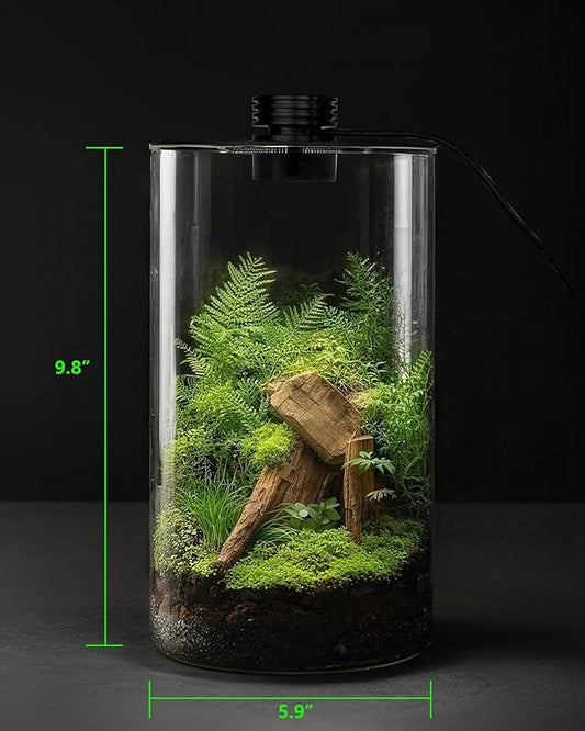 Desktop Glass Terrarium with Grow Light (9.8" H x 5.9" D) - for Succulents, Moss, Mini Gardens, Betta Fish Tanks, Mushroom Cultivation | Indoor Plant Growth | Office/Home Decor | Plant Lover Gifts