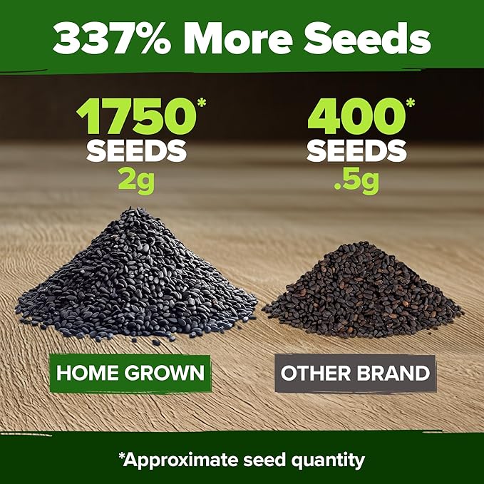 HOME GROWN Non GMO Genovese Basil Seeds Pack 1,750+ High Germination Heirloom Seeds (Ocimum basilicum) Herb Seeds for Planting Indoor & Outdoor Gardening, for Culinary Use