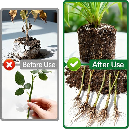 ZeeDix Premium Perlite for Plants, Horticulture Soil Amendment, 3-9mm Granule Size Potted Plant Soil for Orchid Cactus Succulents Carnivorous Monstera Repotting, Indoor Outdoor Gardening, 1QT
