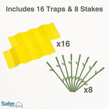 Safer Brand Home SH5026-3SR Houseplant Sticky Stake Insect Traps for Indoor Plants - 48 Traps Included - Controls Aphids, Whiteflies, Fruit Flies, Fungus Gnats, and Other Insects