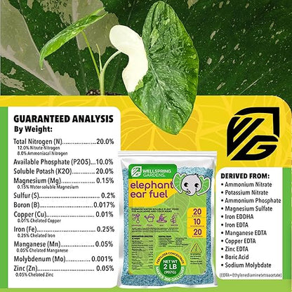 Elephant Ear Fertilizer Fuel - 2 Pounds - Water-Soluble 20-10-20 Blend - Wellspring Gardens