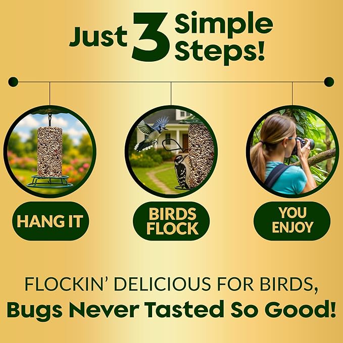 Bugs, Nuts & Berries Bird Seed Cylinders with Hole – Wild Bird Food for Blue Bird, Woodpeckers, Cardinals & More – Premium Protein-Rich All Natural Blend, No Fillers – USA Made (3.75 lbs, 6" x 7.75")