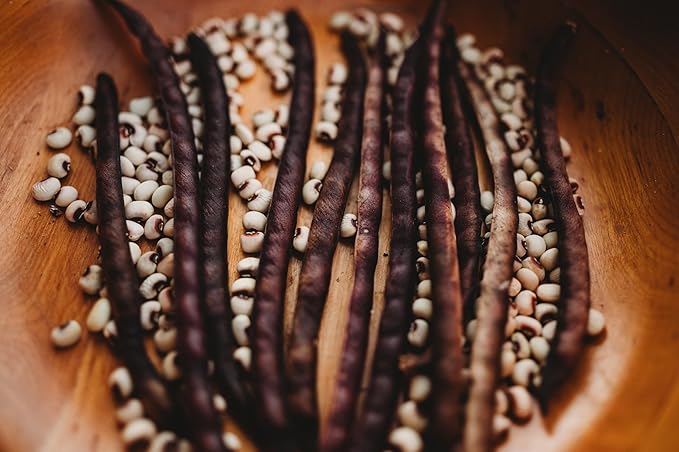 Pink-Eyed Purple Hull Cowpea - 50 Seeds - Heirloom Variety, USA-Grown, Non-GMO Purple Hull Pea Seeds for Planting Outdoors in The Home Garden, Thresh Seed Company