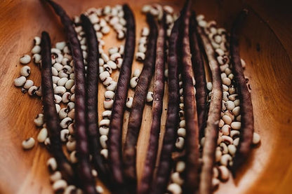 Pink-Eyed Purple Hull Cowpea - 50 Seeds - Heirloom Variety, USA-Grown, Non-GMO Purple Hull Pea Seeds for Planting Outdoors in The Home Garden, Thresh Seed Company