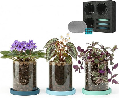 3-Pack 4 Inch Clear Glass Plant Pots with Drainage and Ceramic Trays, Indoor Herb Planters for Home Office, Succulents & Small Plants (Blue 3 Shades)