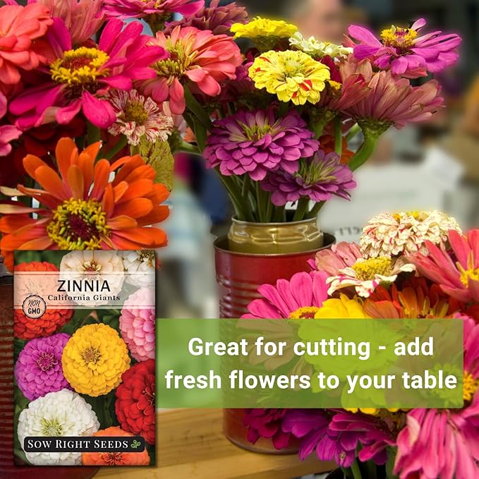 Sow Right Seeds - California Giants Mix Zinnia Seeds for Planting - Non-GMO Heirloom Packet to Grow Your Flower Garden - Attract Bees and Butterflies - Great to Cut and Come Again - Summer Annual (4)