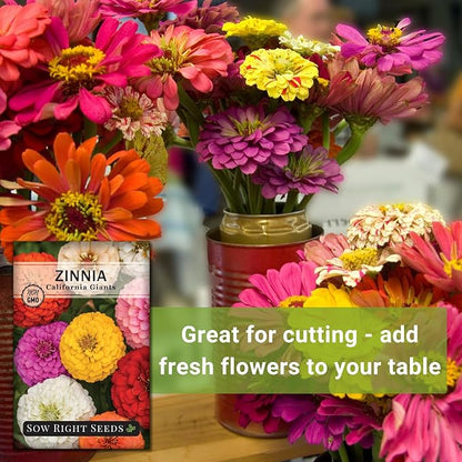Sow Right Seeds - California Giants Mix Zinnia Seeds for Planting - Non-GMO Heirloom Packet to Grow Your Flower Garden - Attract Bees and Butterflies - Great to Cut and Come Again - Summer Annual (4)