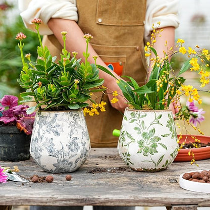 Sungmor Vintage Ceramic Planter Set of 2 - Decorative Indoor & Outdoor Flower Pots with Drainage Holes - Tuscan Décor Pots, 5.7" Ice Crackle Glaze Planters for Home, Kitchen, Patio, and Garden
