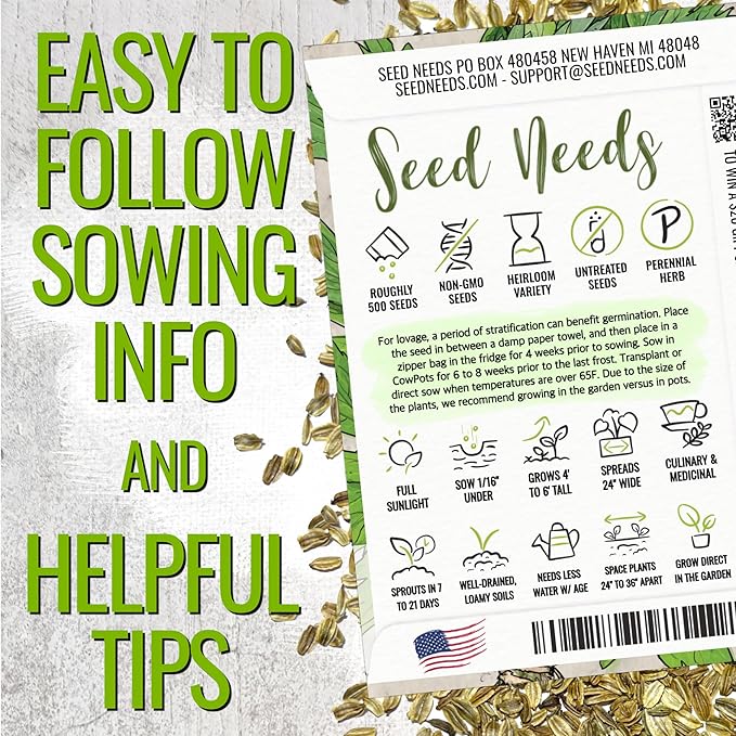 Seed Needs Lovage Seeds for Planting - Non-GMO Heirloom & Untreated Herbs to Plant a Medicinal/Culinary Home Grown Herb Garden Indoors or Outdoors (5 Packs)