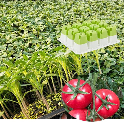 5pcs Seed Starter Tray, Silicone Seeding Starter with Pop-Out Cells (60 Cells in Total), Plant Growing Trays for Seed Starter, Indoor Seeding Planting Growing(5PCS,Green)