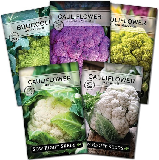 Sow Right Seeds - Cauliflower Collection Seeds for Planting - Includes Non-GMO Heirloom Colorful Cauliflower & Romanesco Broccoli - High Yield & Easy to Grow - Ideal for Veggie Gardens - Home Harvest