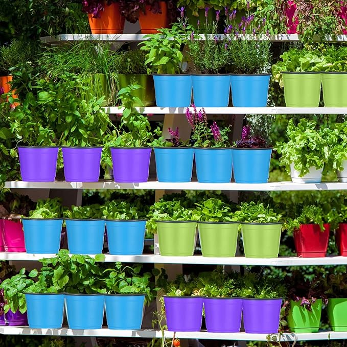 150 Pcs 4 Inch Plastic Nursery Pots Seedling Starting Pots with Drainage Holes Thicken Flower Planters Seed Starting Indoor Outdoor for Seedling Cutting Transplanting(Multicolor)