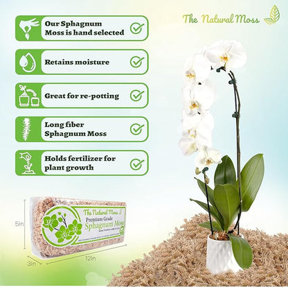 Inc Premium Chilean Sphagnum Moss 150 Grams/0.33 pounds, Premium Moss Dried, Long Fiber Moss Perfect for Healthy Orchids & Plants Growth repotting