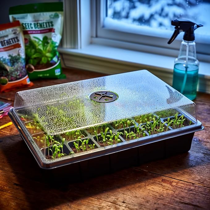 24XL Cell Seed Starter Tray with Dome-5 Pack 2'' Plug Seedling Trays(total 120 cells), Plant Germination Tray with Humidity Vented Lid and Base, Mini Propagator Plant Greenhouse for Seed Growing