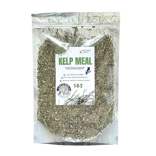 Gulf of Maine, Inc. Wild-Harvest Kelp Meal - Plant Food with Seaweed (Ascophyllum nodosum), Potassium and Trace Minerals 1-0.1-2, 0.5 lb (1 Lb)