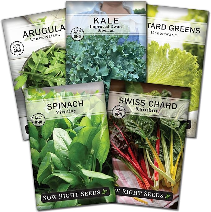 Sow Right Seeds - Power Greens Seed Collection for Planting - Spinach, Arugula, Kale, Mustard Greens and Rainbow Swiss Chard - Non-GMO Heirloom Seeds to Plant and Grow a Home Vegetable Garden