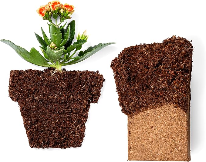 Coco Coir 650gm Bricks (10-Pack) + Worm Bliss (2 Gallons) - Organic Coco Coir for Plants & Worm Castings for Plants - Coconut Coir Bricks - Earthworm Castings Worm Fertilizer - Garden Soil Potting Mix