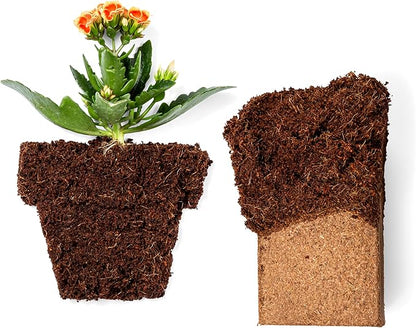 Coco Bliss 650gm Bricks (5-Pack) + Vermiculite Bliss (8 Qts) - Organic Coco Coir for Plants & Vermiculite for Gardening - Cocopeat Coconut Soil - Coconut Coir for Plants - Garden Soil Potting Mix