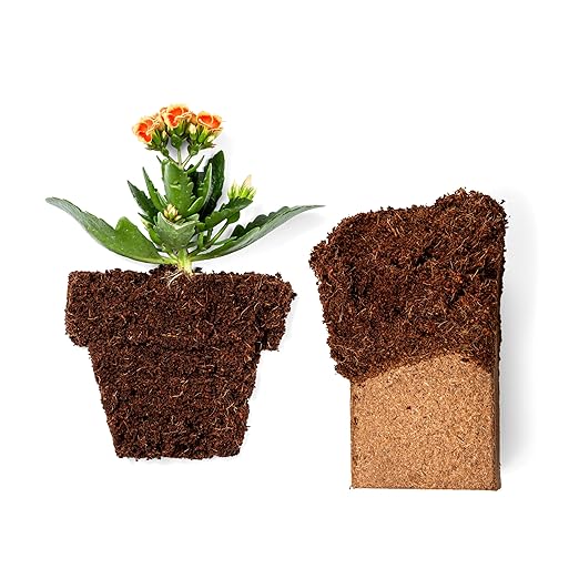 Coco Coir Brick (650gms) + Worm Bliss (1 Qt) - Organic Worm Castings & Organic Coco Coir for Plants - Coconut Coir Coco Peat - Earthworm Castings Worm Fertilizer - Garden Soil & Potting Soil Mix