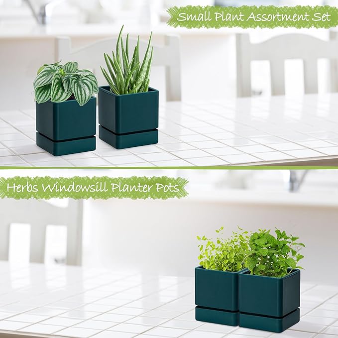 D'vine Dev 4 Inch Herb Planter Pot, Plastic Planter with Drainage Holes and Saucer, Modern Decorative Gardening Pot for Indoor Plants, Flowers, Herbs, Succulents, Green, Set of 2, 76-Y-C-2