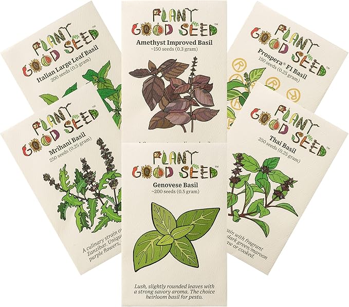 Plant Good Seed Organic Culinary Basil Seeds for Planting: Heirloom Variety Pack, Amethyst, Genovese, Italian Large Leaf, Mrihani, Prospera F1, Thai - 6 Packet Collection