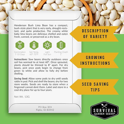 Lima Bean Seeds for Planting – Henderson Butter Bean Seeds for Gardens & Classroom Science Projects, Easy to Grow Non-GMO Heirloom Variety - Survival Garden Seeds (5 Packs)