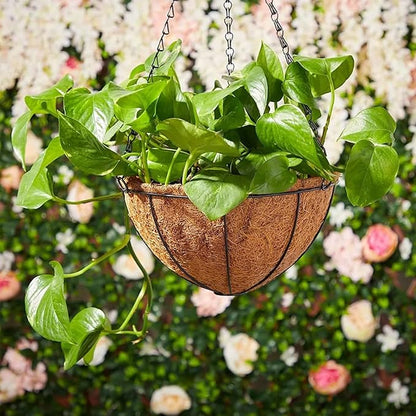 Hanging Baskets Planter for Plants - 2 Pack 12 Inch Metal Baskets with Coco Coir Liner, Hanging Flower Pots for Outside with Chain, Indoor Outdoor Garden Porch Decoration (12'' Pack of 2)