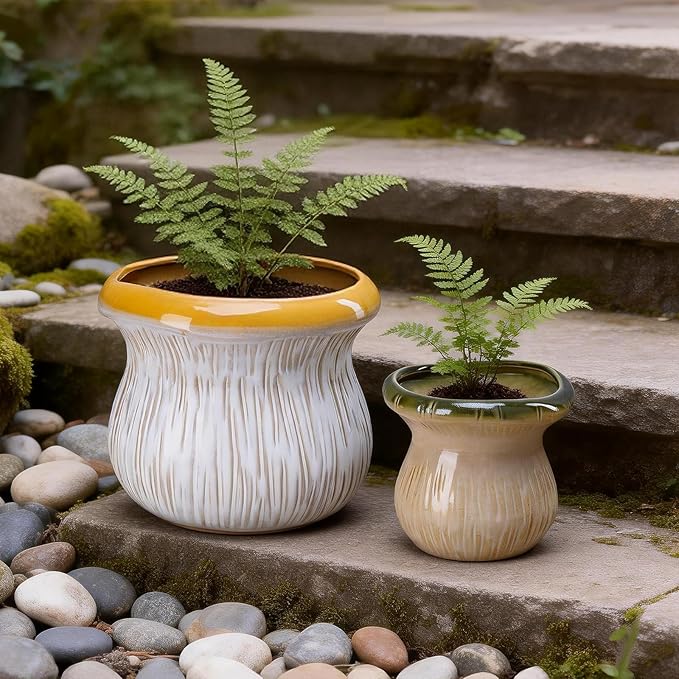 2 Pack Plant Pot Flower Pots Ceramic Planter with Drainage Hole Small Ceramic Pots for Indoor Outdoor Plants Succulent Pot