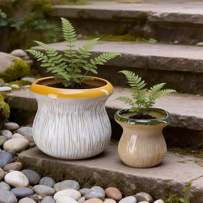2 Pack Plant Pot Flower Pots Ceramic Planter with Drainage Hole Small Ceramic Pots for Indoor Outdoor Plants Succulent Pot