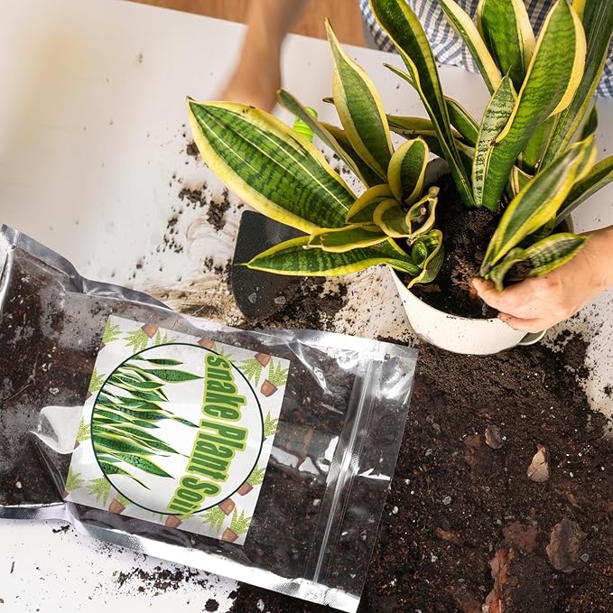 Premium Snake Plant Soil Mix 10qt, Indoor Plants Potting Mix for All Potted Snake Plants, Promote Healthy Growth and Easy Care, black