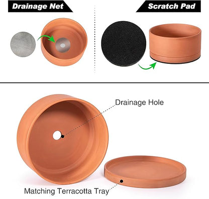 D'vine Dev 8 Inch Succulent Terracotta Shallow Pot with Drainage Hole and Saucer, Round Cylinder Planter Pot for Plant Flower, 40-Y-A-0