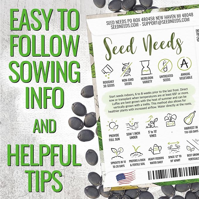 Seed Needs Luffa Seeds for Planting Loofah Sponge Gourds - Non-GMO Heirloom & Untreated Veggie Seed to Plant a Home Grown Outdoor Vegetable Garden (2 Packs)