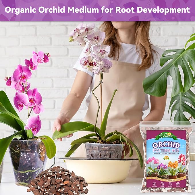 Riare 6QT Orchid Potting Mix, Natural Orchid Bark Potting Mix Soil Medium with Pine Bark and Perlite, Premium Orchid Repotting Kit for Phalaenopsis Dendrobiums, Enhanced Drainage & Root Expansion