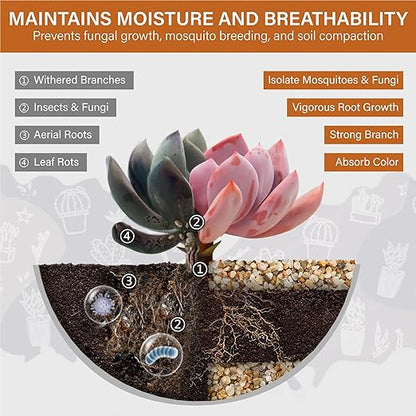 NUPICK 3-5mm Coarse Sand for Plants, 12lb Horticultural Grit for Succulents, Desert Silica Sand for Cactus, Decorative Gravel for Landscaping, Gold Grit for Aquariums, Bonsai, Vases Fillers