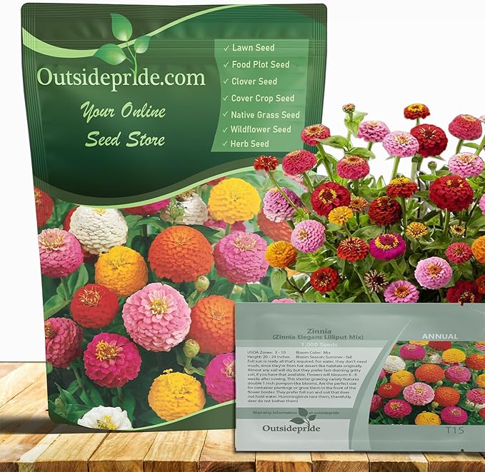 Outsidepride Zinnia Seeds - 1 Lb. Annual Blend of Hardy Compact Mixed Color Ball-Shaped Blooms for Planting in Outdoor Containers, Borders, Flower Beds, Cutting Gardens & Pollinator-Friendly Spaces