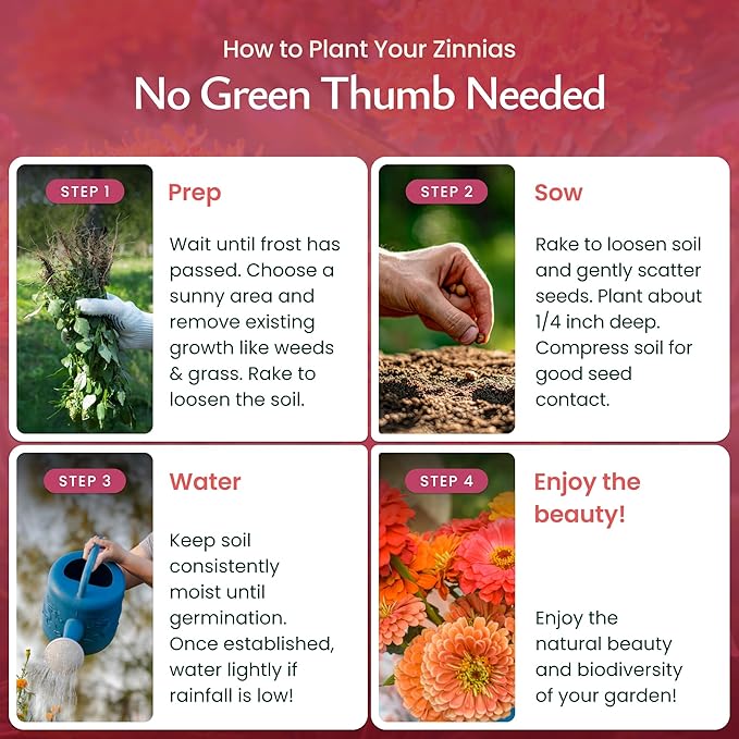 Created By Nature, Dahlia Zinnia Wildflower Seed Mix, Red, Pink, Orange, Yellow, Purple, and White Annual Flower Seeds, 2,125 Wildflower Seeds Bulk for Pollinator Gardens (Zinnia elegans)
