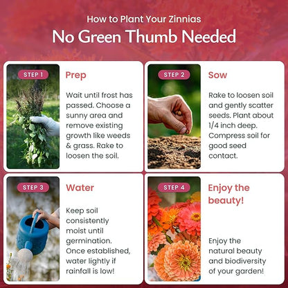 Created By Nature, Dahlia Zinnia Wildflower Seed Mix, Red, Pink, Orange, Yellow, Purple, and White Annual Flower Seeds, 2,125 Wildflower Seeds Bulk for Pollinator Gardens (Zinnia elegans)