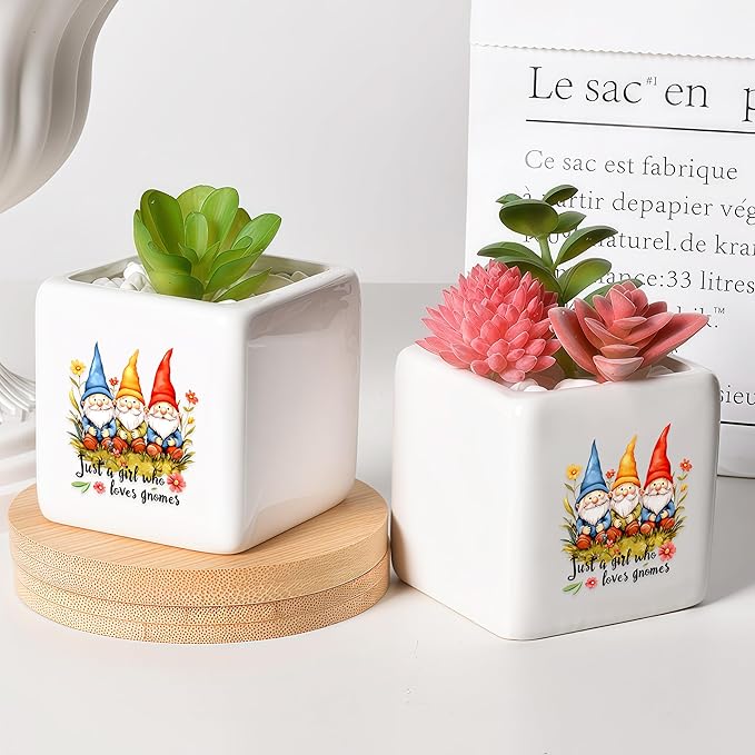 Gnomes Succulent Planter Flower Plant Pot Small, Gifts for Women Teens Girls Kids, Gnomes Lovers Themed Stuff Accessories Things Decor Merch, Home Office Table Desk Decoration!