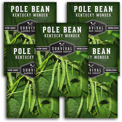 Survival Garden Seeds - Kentucky Wonder Pole Bean Seed for Planting - 5 Packets with Instructions to Plant and Grow Green Snap Beans in Your Home Vegetable Garden - Non-GMO Heirloom Variety