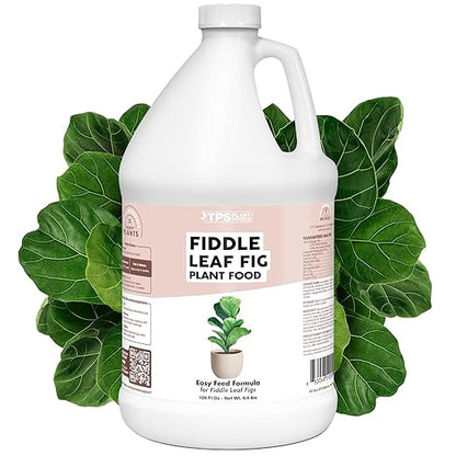 Fiddle Leaf Fig Plant Food for All Fig and Other Ficus Trees, Liquid Houseplant Fertilizer, 1 Gallon (128 oz)