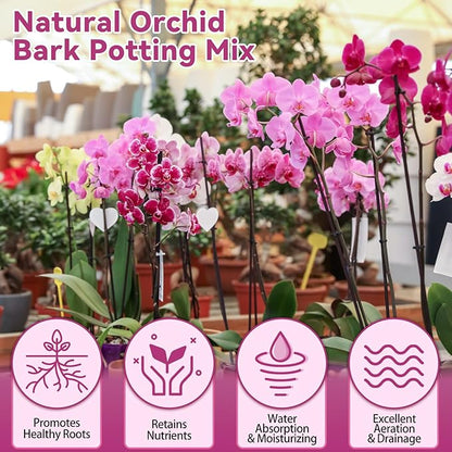 Riare 1QT Orchid Potting Mix, Natural Orchid Bark Potting Mix Soil Medium with Pine Bark and Perlite, Premium Orchid Repotting Kit for Phalaenopsis Dendrobiums, Enhanced Drainage & Root Expansion